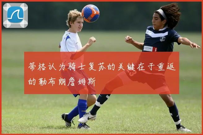 蒂格认为骑士复苏的关键在于重返的勒布朗詹姆斯